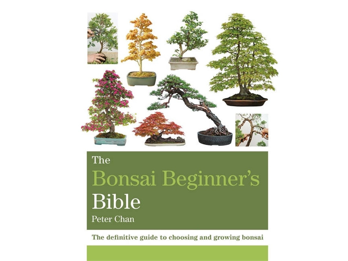 The Bonsai Beginner's Bible de Peter Chan (Inglés)