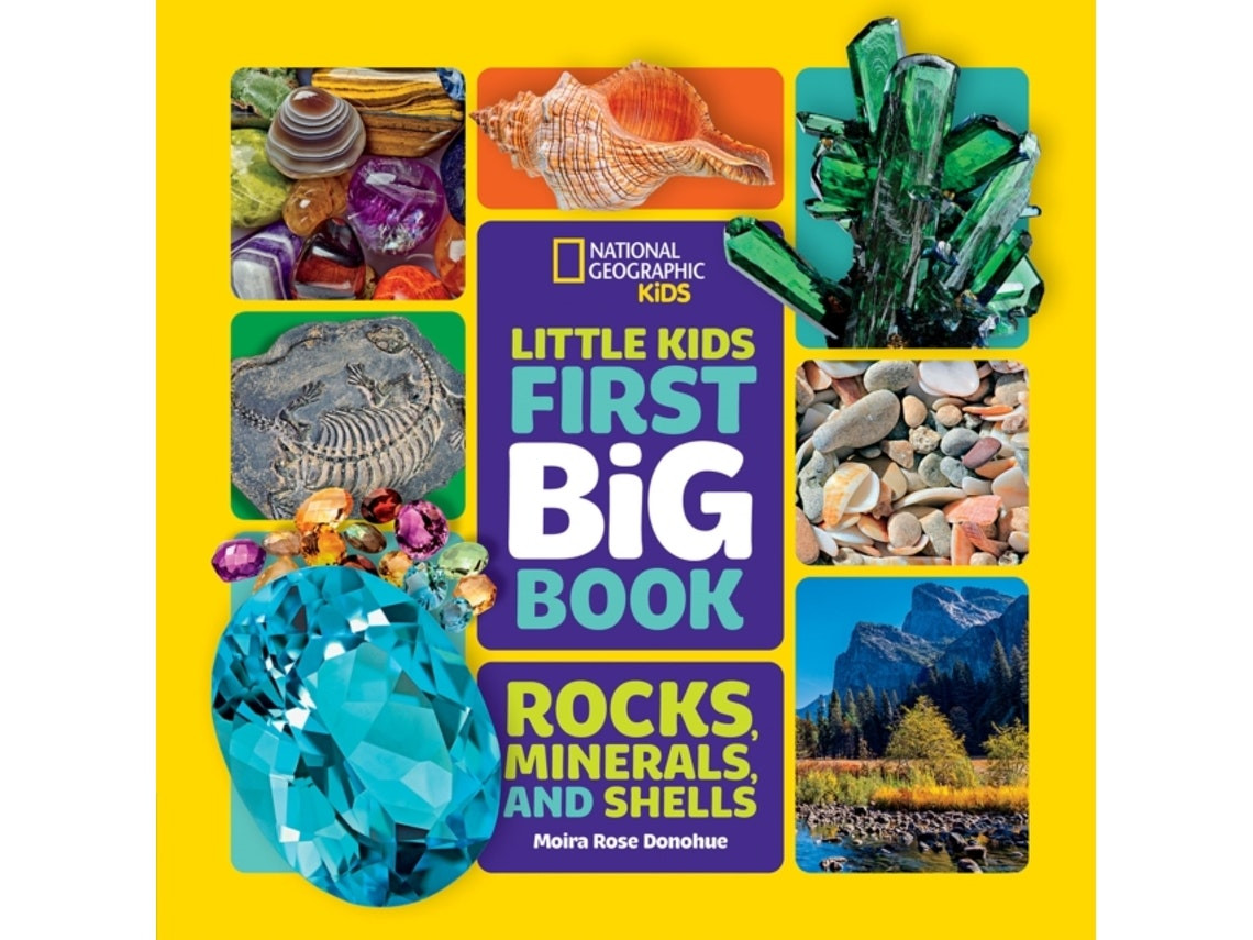 Little Kids First Big Book of Rocks, Minerals and Shells by Moira Rose Donohue (English)