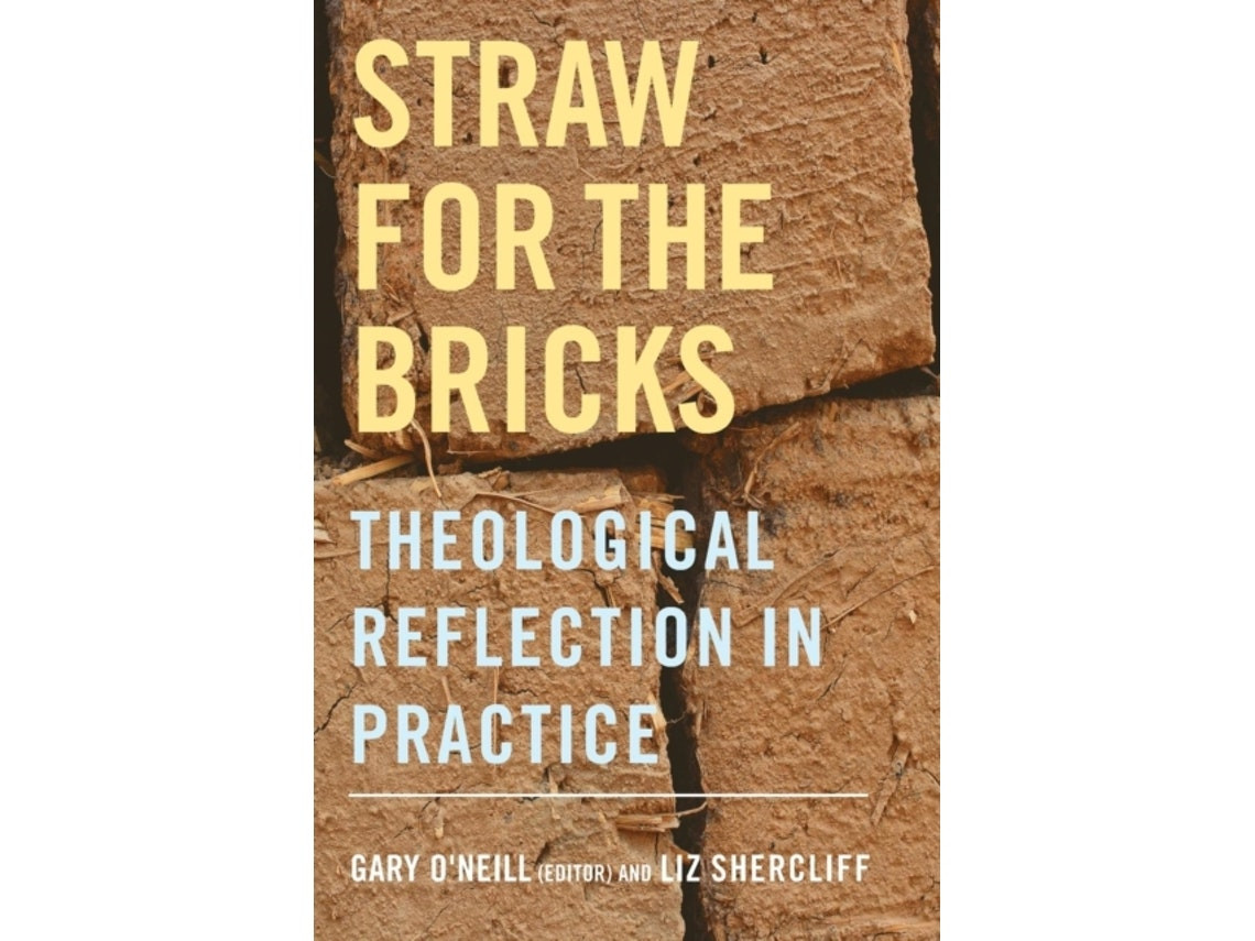 Straw for the Bricks de Liz Shercliff (Inglés)