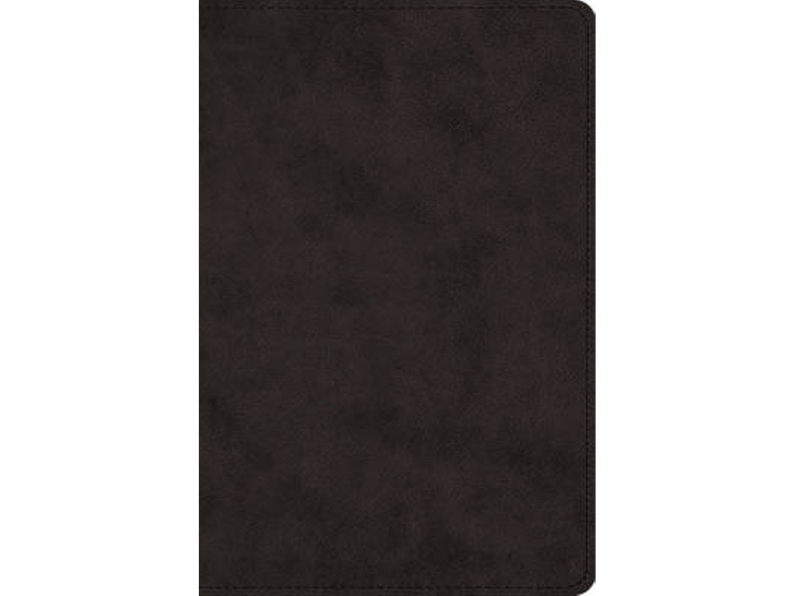ESV Large Print Bible de Unknown (Inglés)