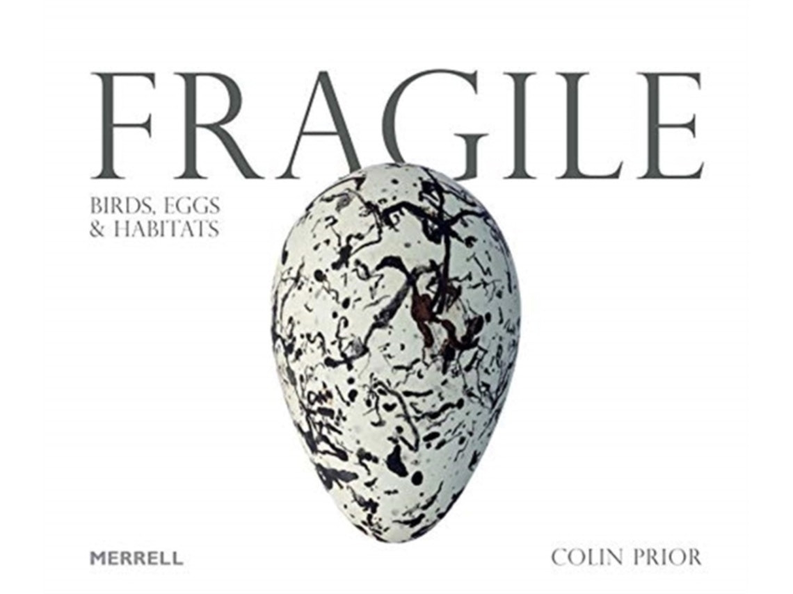 Fragile de Colin Prior (Inglés)