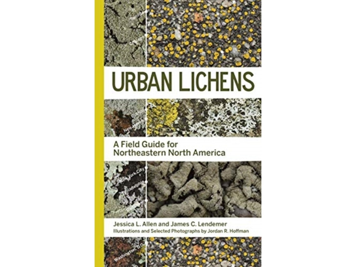 Urban Lichens by Jessica L Allen and James C Lendemer (English)