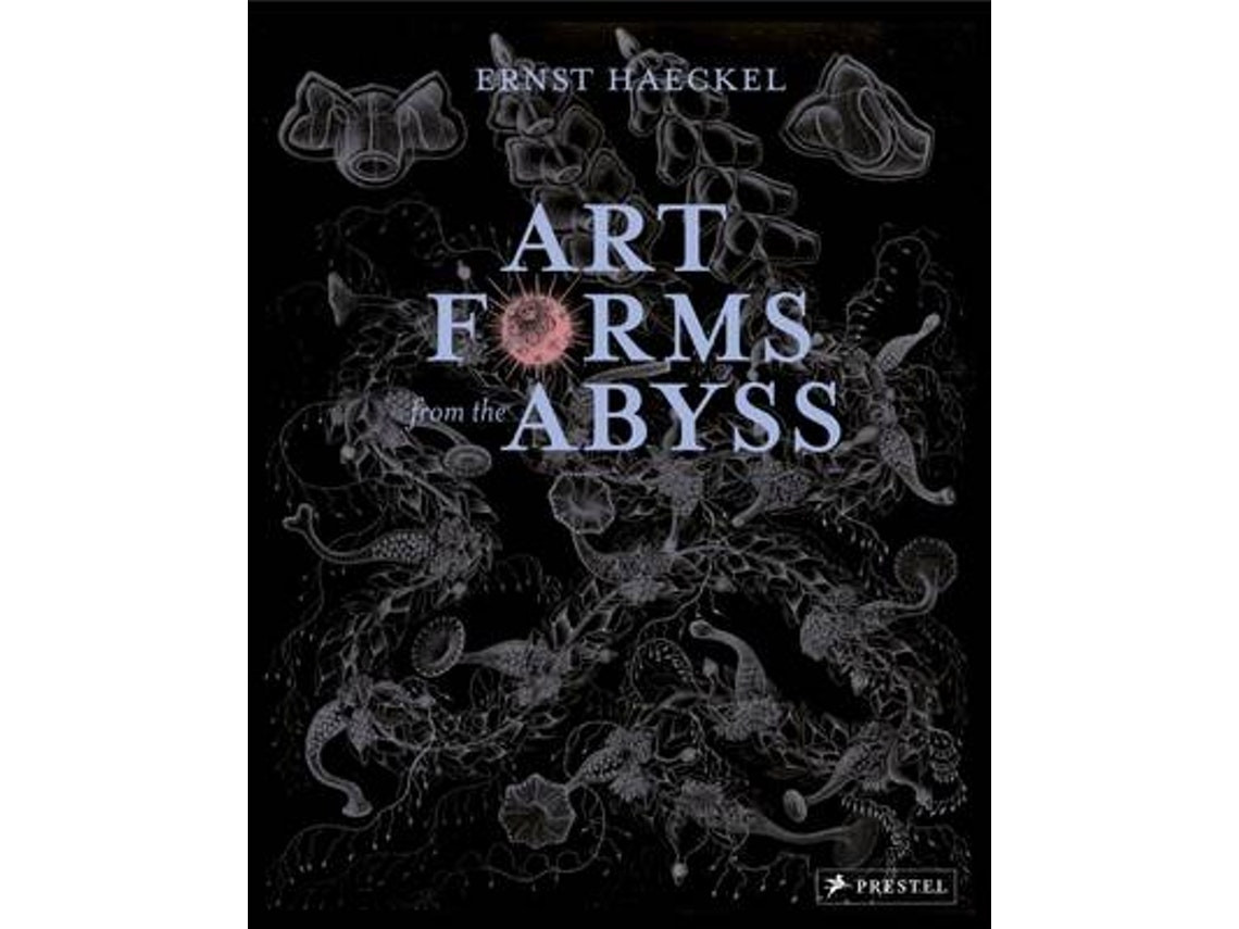Art Forms from the Abyss by Peter J Le B Williams, Dylan W Evans, David J Roberts, David Thomas (English)
