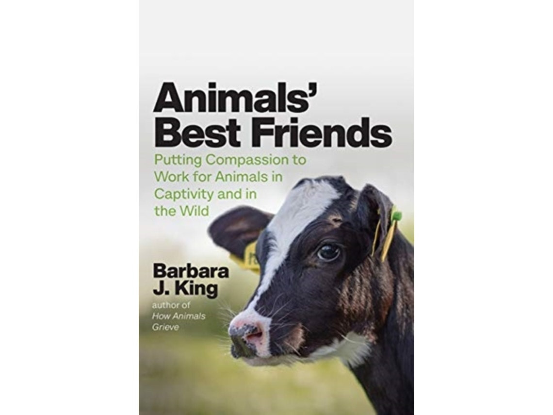Animals' Best Friends de Barbara J King (Inglés)