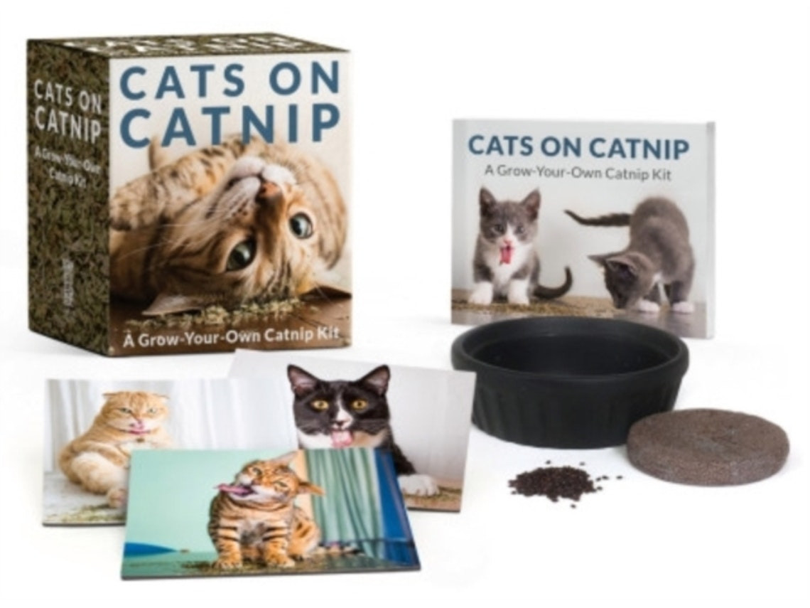 Cats on Catnip by Andrew Marttila (English)