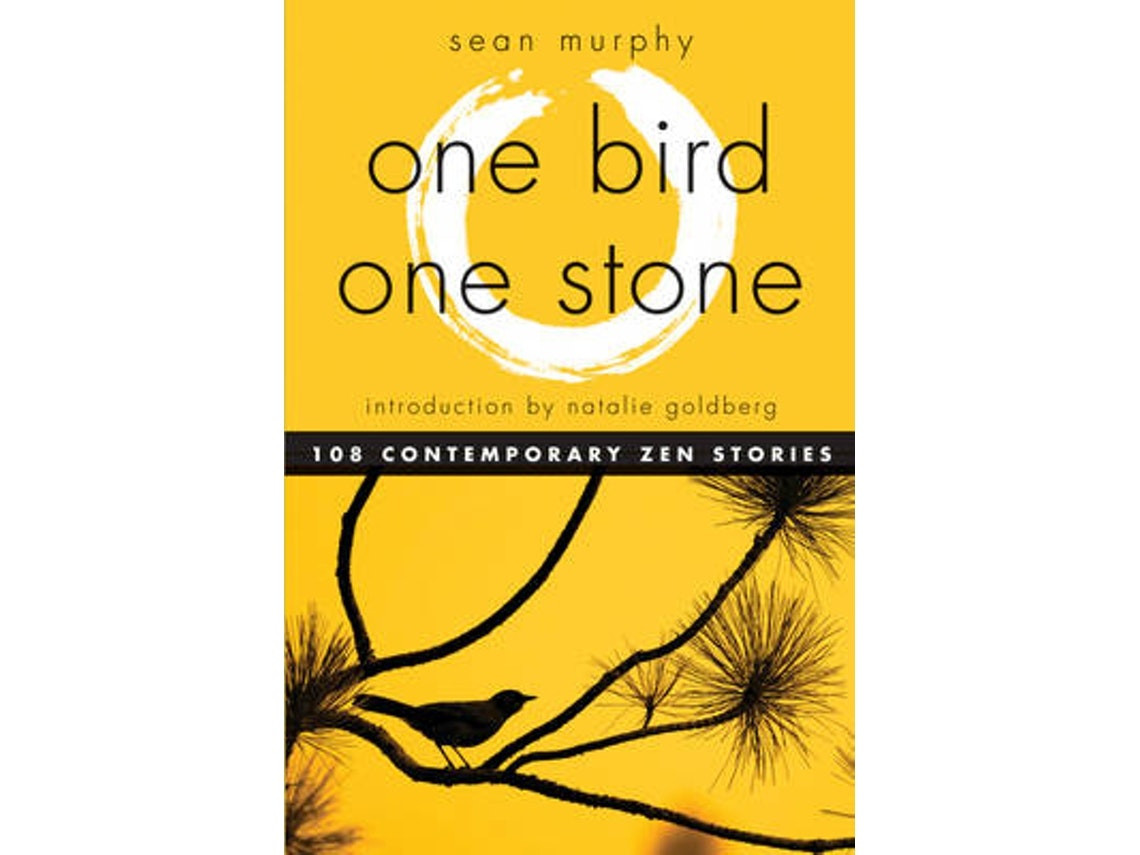 One Bird, One Stone de Sean Murphy (Inglés)