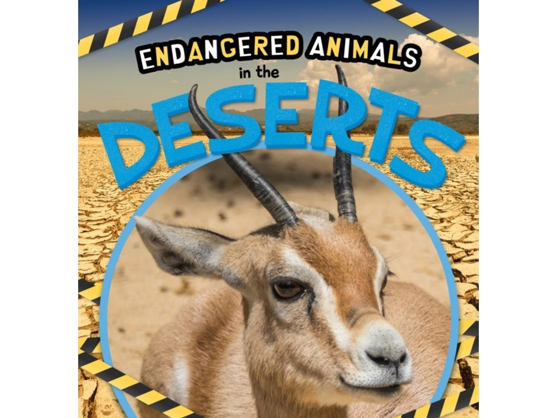 In the Deserts de Emilie Dufresne (Inglés)