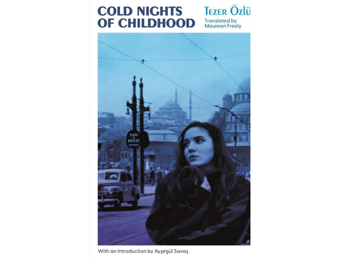 Cold Nights of Childhood de Tezer Özlü (Inglés)
