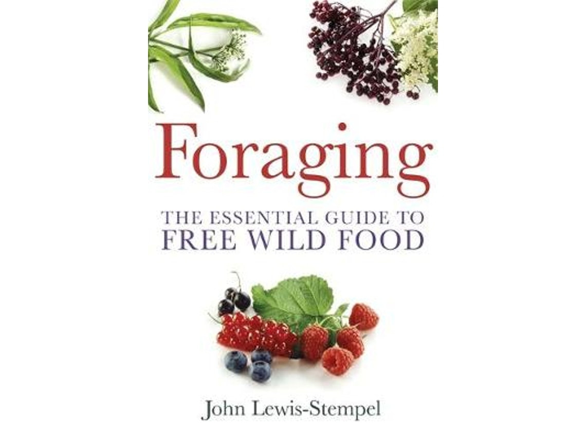 Foraging by John Lewis-Stempel (English)