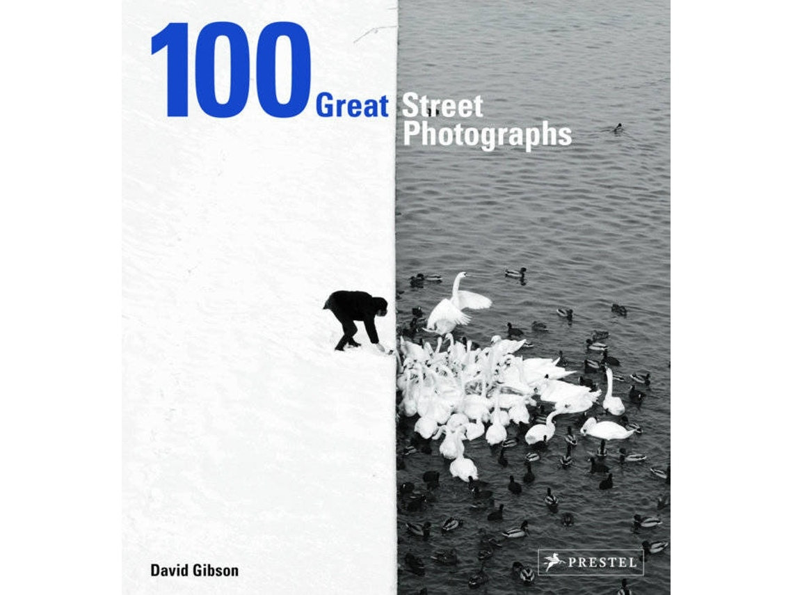100 Great Street Photographs by David Gibson (English)