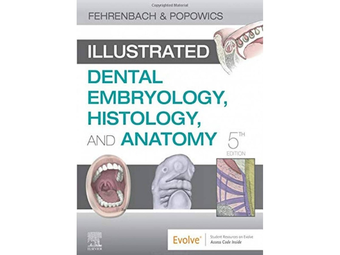 Illustrated Dental Embryology Histology and Anatomy de Margaret J Fehrenbach (Inglés)
