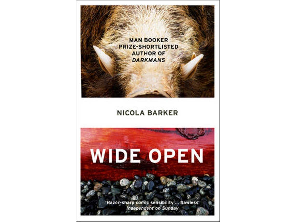 Wide Open de Nicola Barker (inglés)