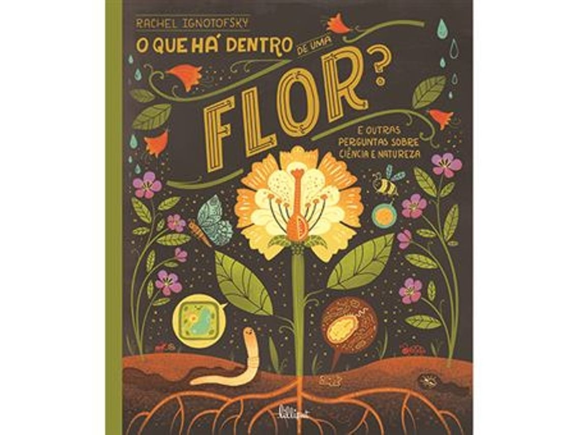 ¿Qué hay dentro de una flor? de Rachel Ignotofsky (Portugués)