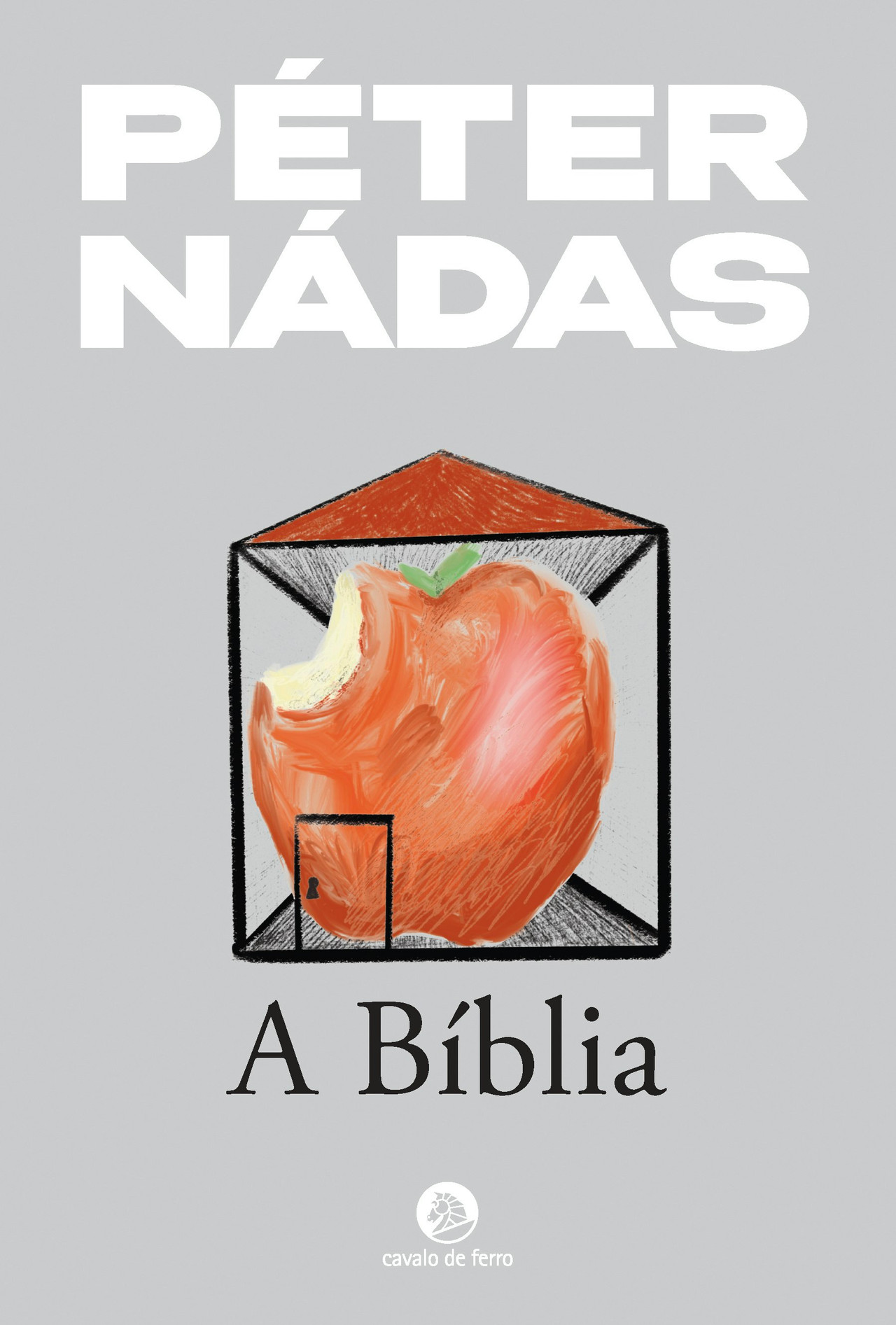 A Bíblia de Péter Nádas by Péter Nádas (Portuguese)