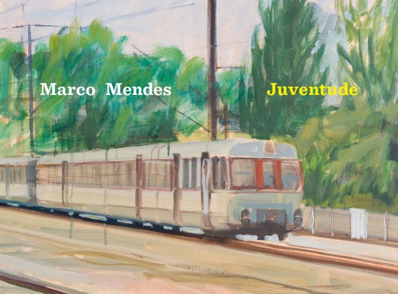 Juventude de Marco Mendes (Portugués)