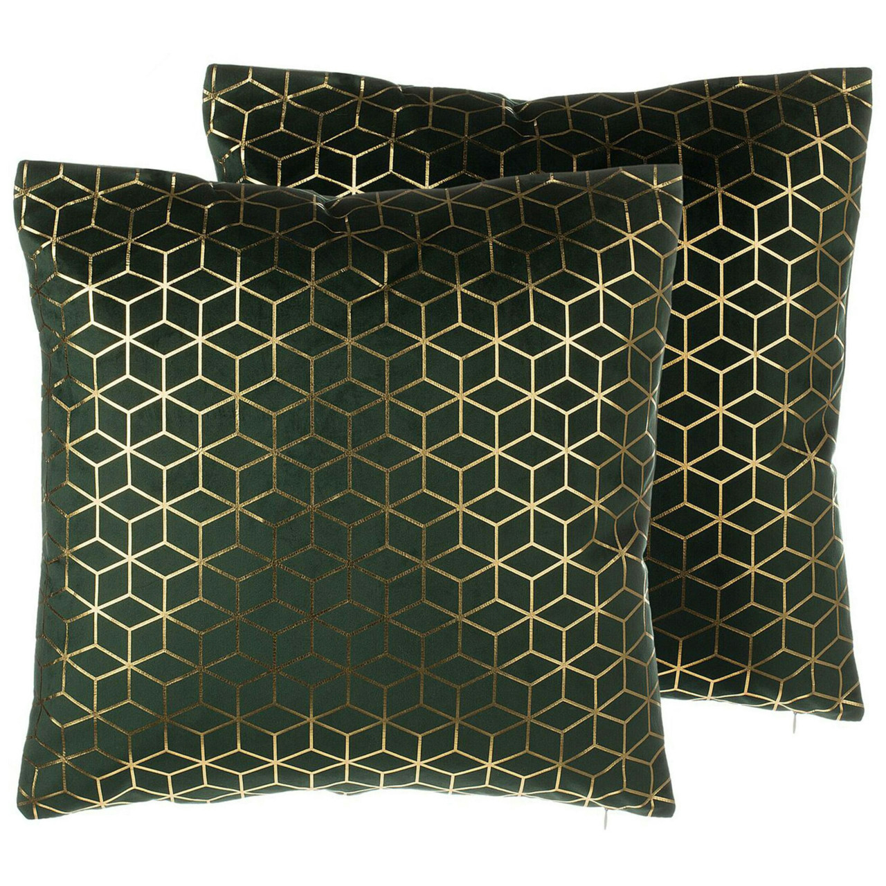 Celosia velvet decorative cushion set of 2