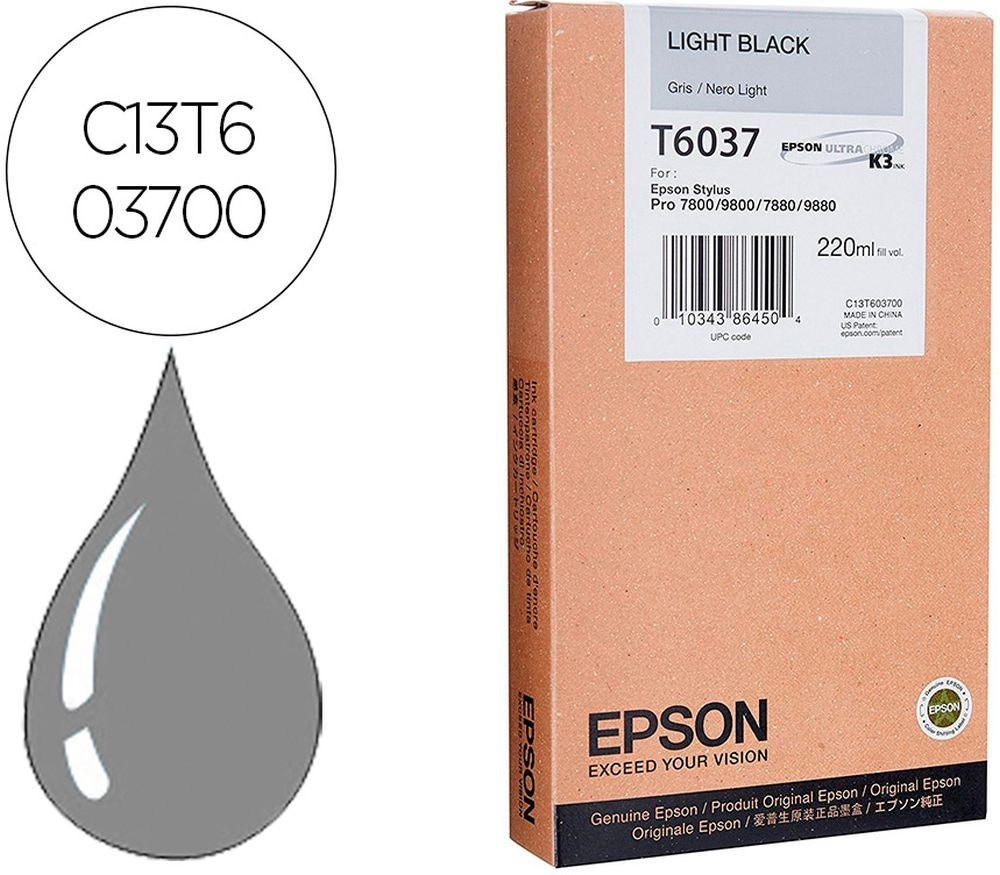EPSON grey ink cartridge C13T603700