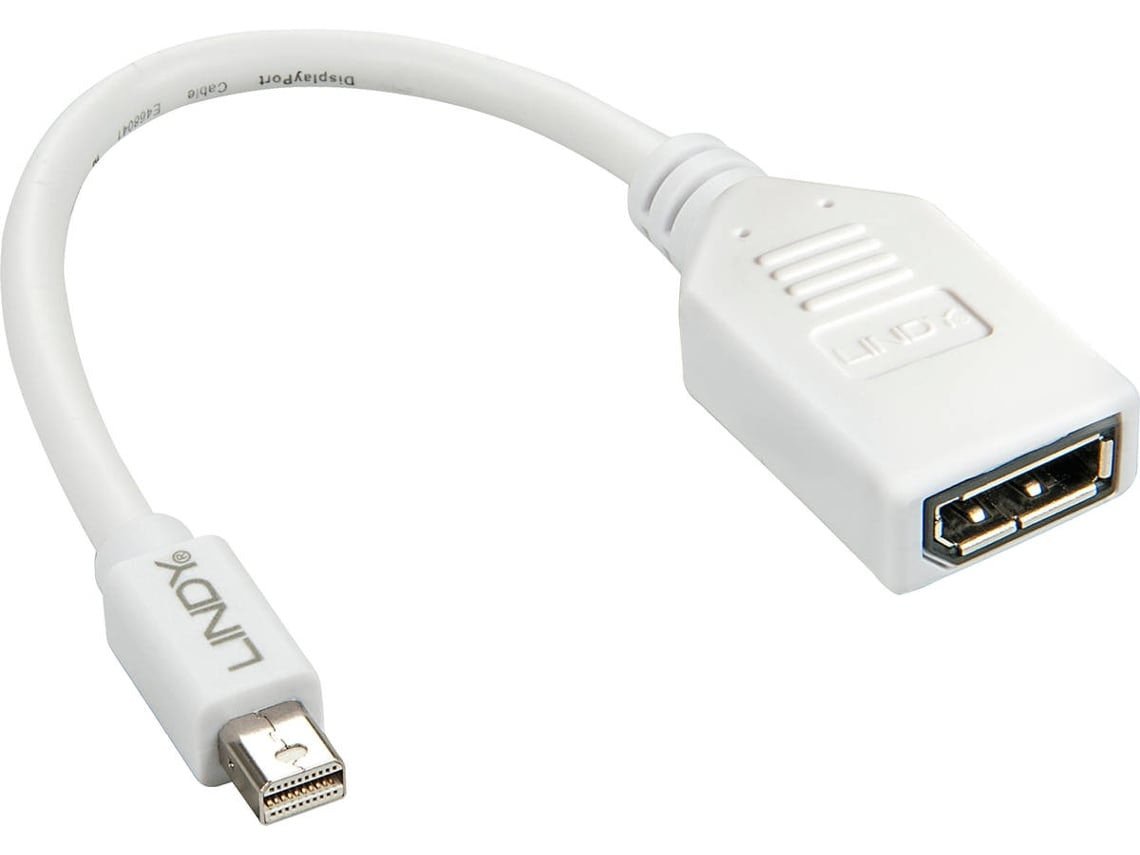 Mini DisplayPort to DisplayPort adapter 15 cm