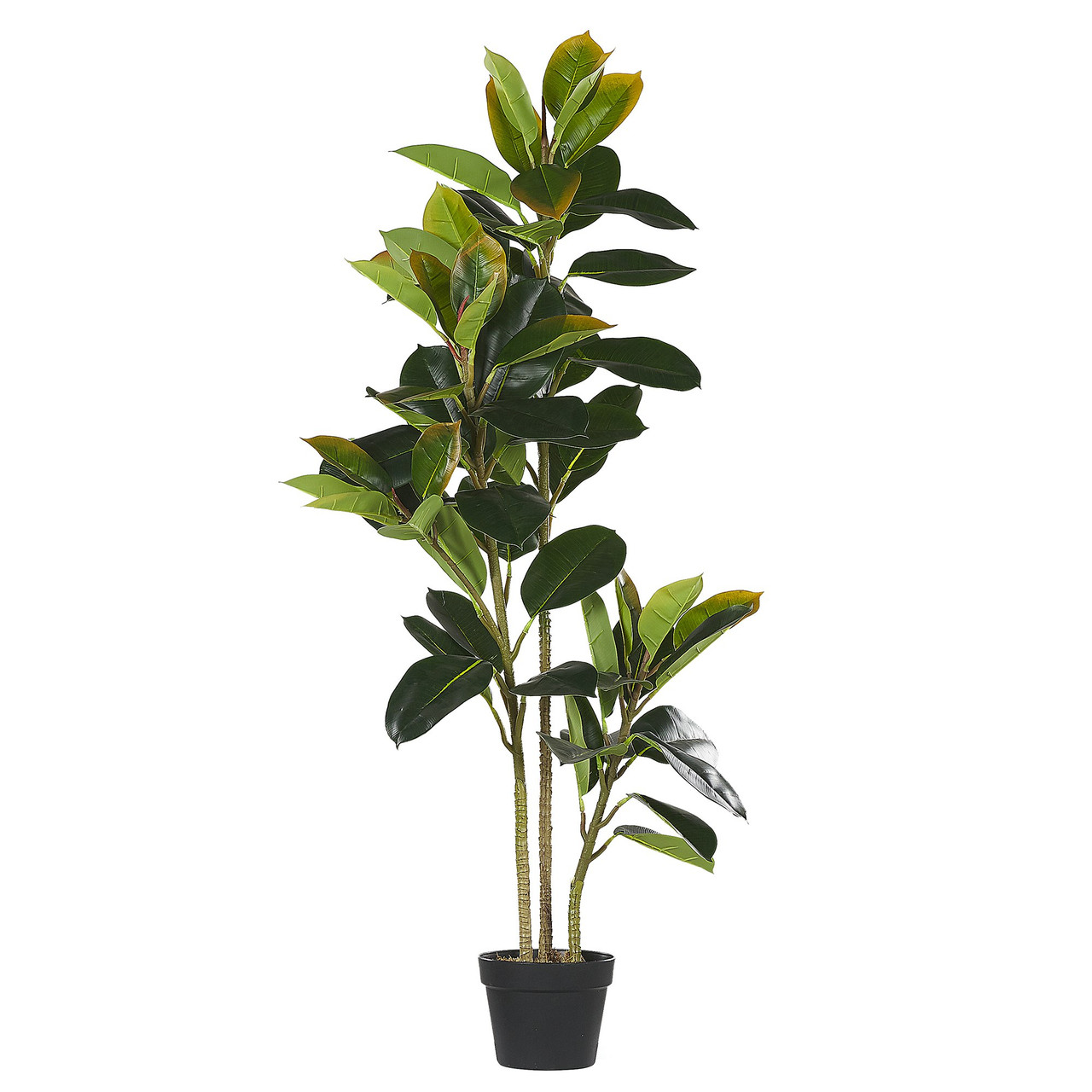 Ficus elastica artificial en material sintético verde