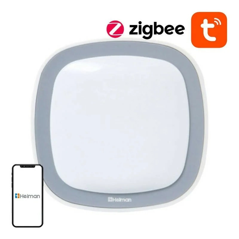 Gateway WiFi Inteligente WS2GW-R (2,4 GHz)