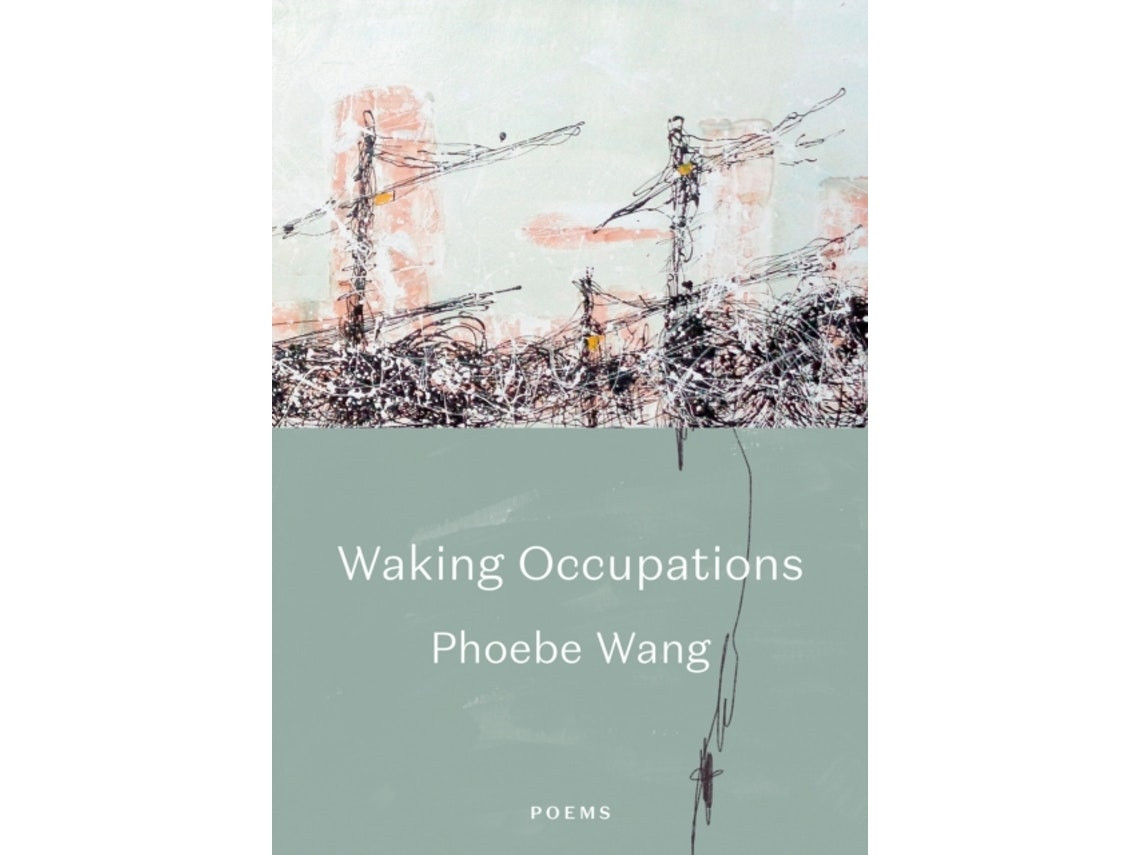 Walking Occupations de Phoebe Wang (Inglés)