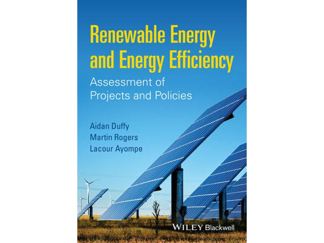 Renewable Energy and Energy Efficiency de A Duffy (Inglés)