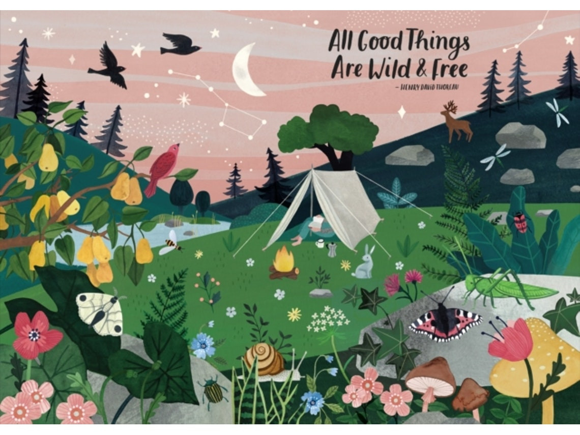 All Good Things Are Wild and Free by Irene Smit and Astrid van der Hulst (English)