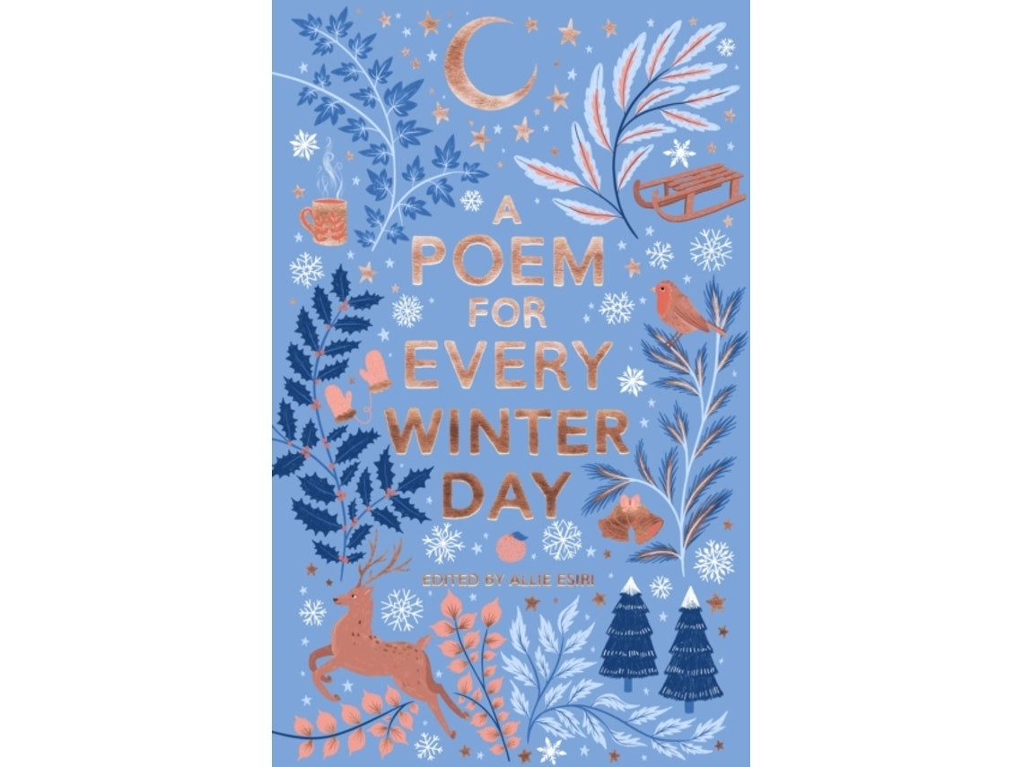 A Poem for Every Winter Day de Allie Esiri (Inglés)