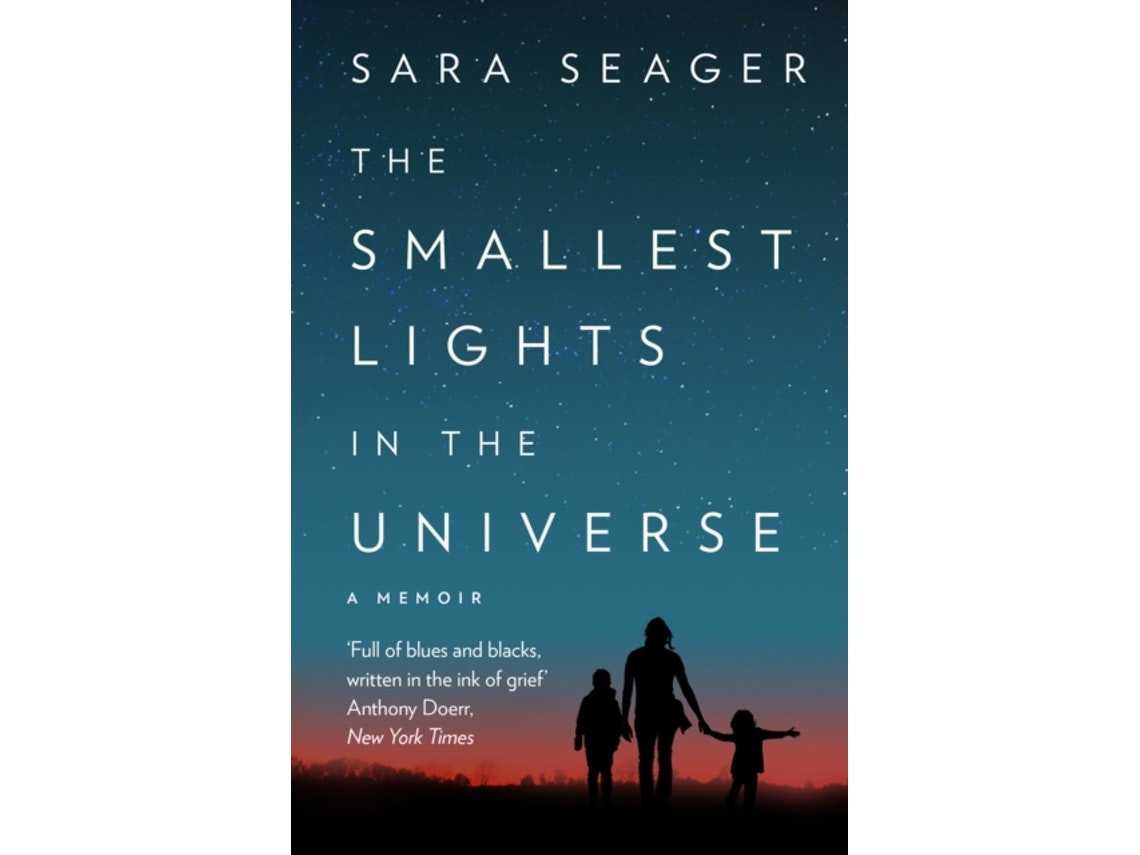 The Smallest Lights in the Universe de Sara Seager (Inglés)