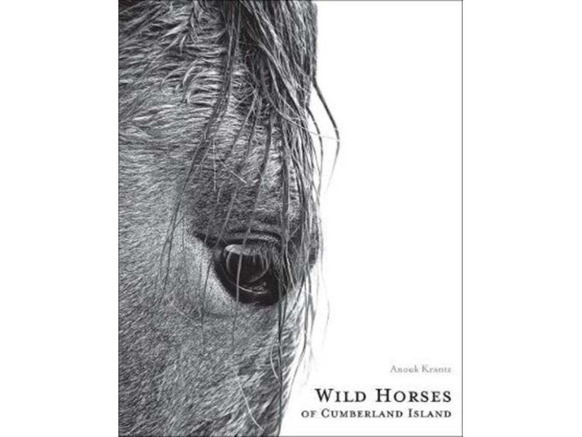 Wild Horses of Cumberland Island de Anouk Masson Krantz (Inglés)