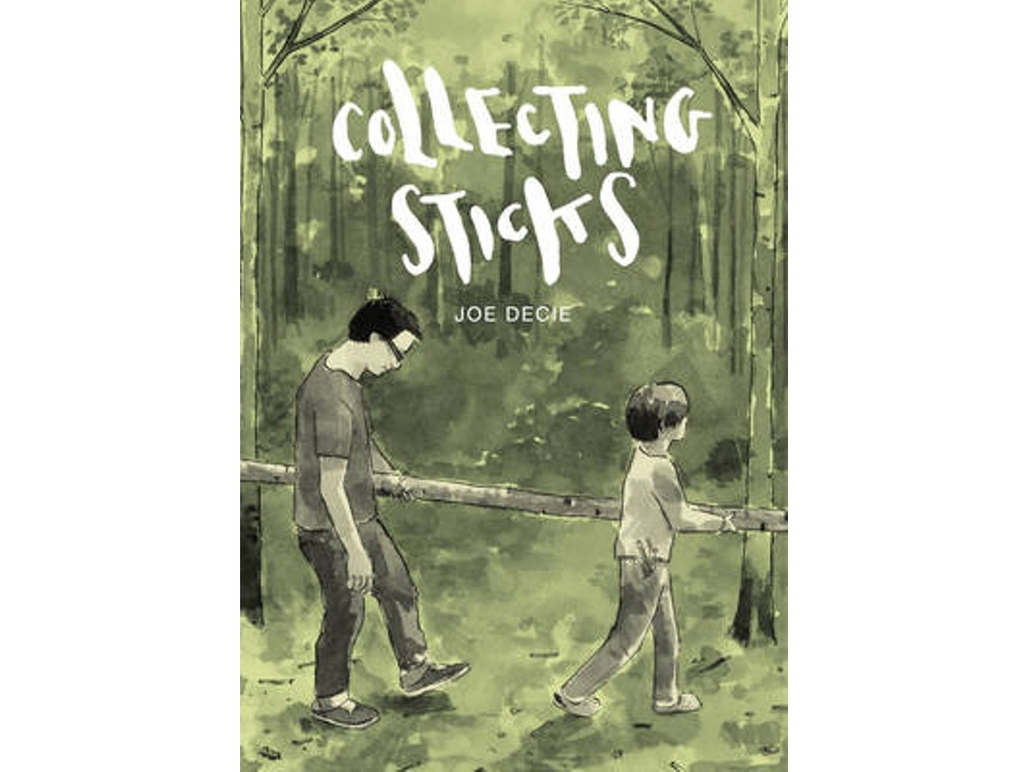 Livro collecting sticks de joe decie (Inglês)