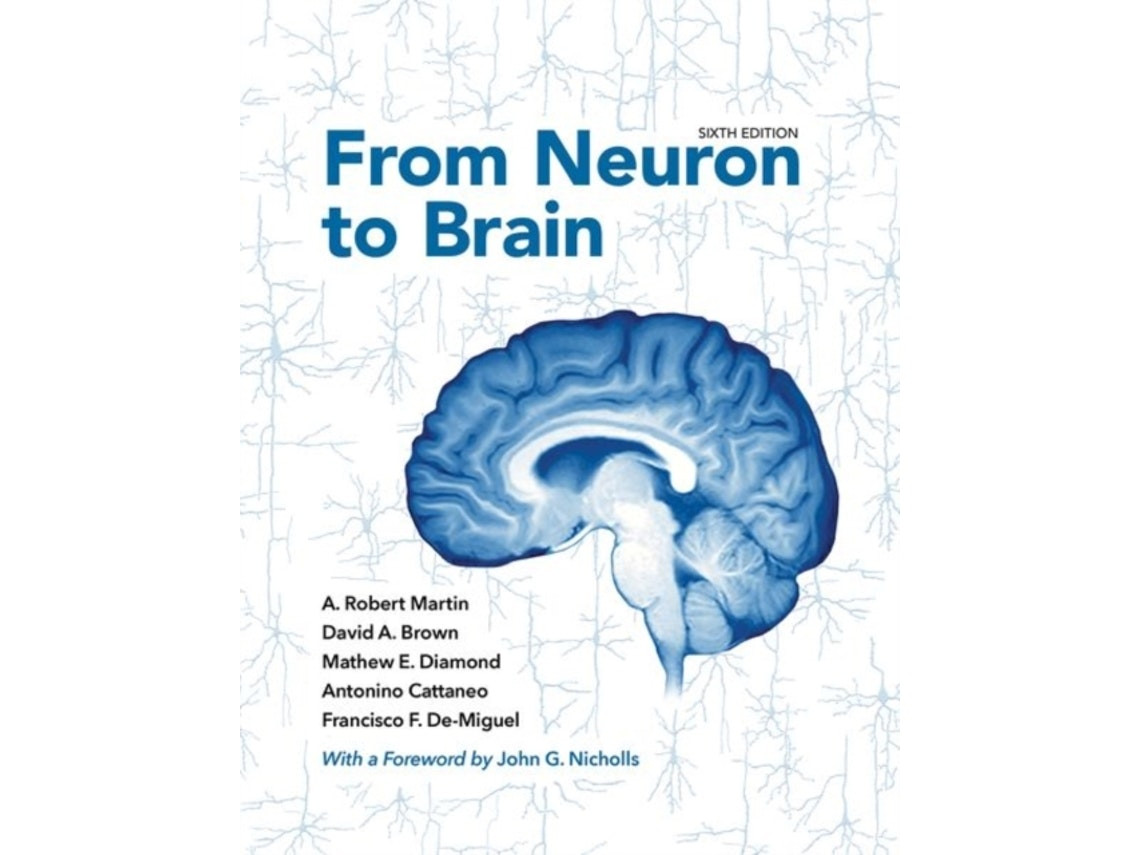 From Neuron to Brain by A. Robert Martin et al. (English)