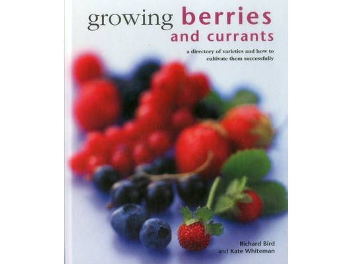 Growing Berries and Currants by Richard Bird and Kate Whiteman (English)