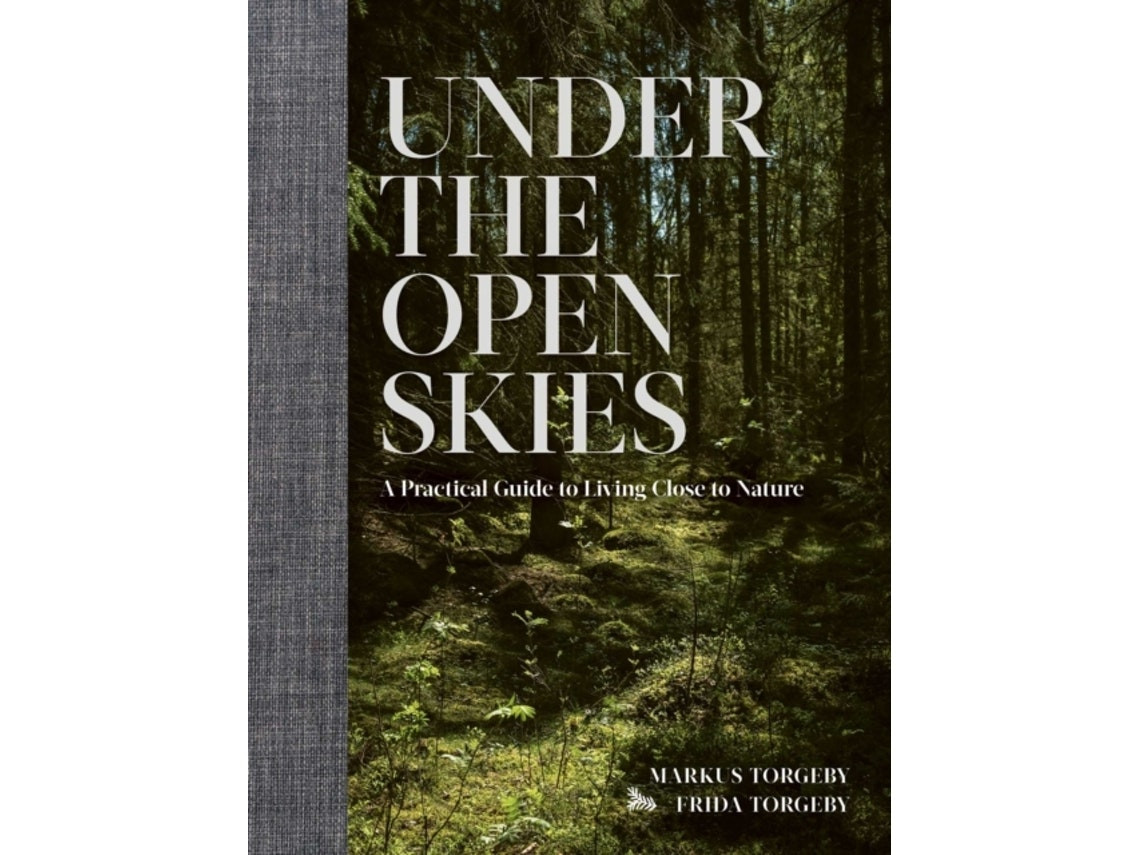 Under the Open Skies by Markus Torgeby (English)