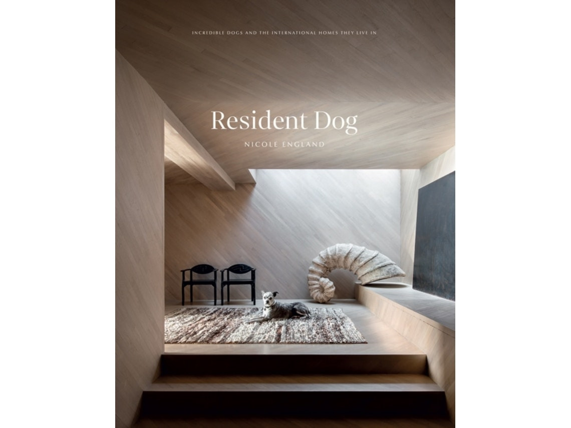 Resident Dog de Nicole England (Inglés)