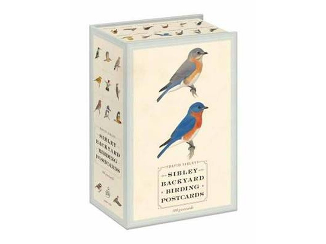 Sibley Backyard Birding Postcards by David Sibley (English)