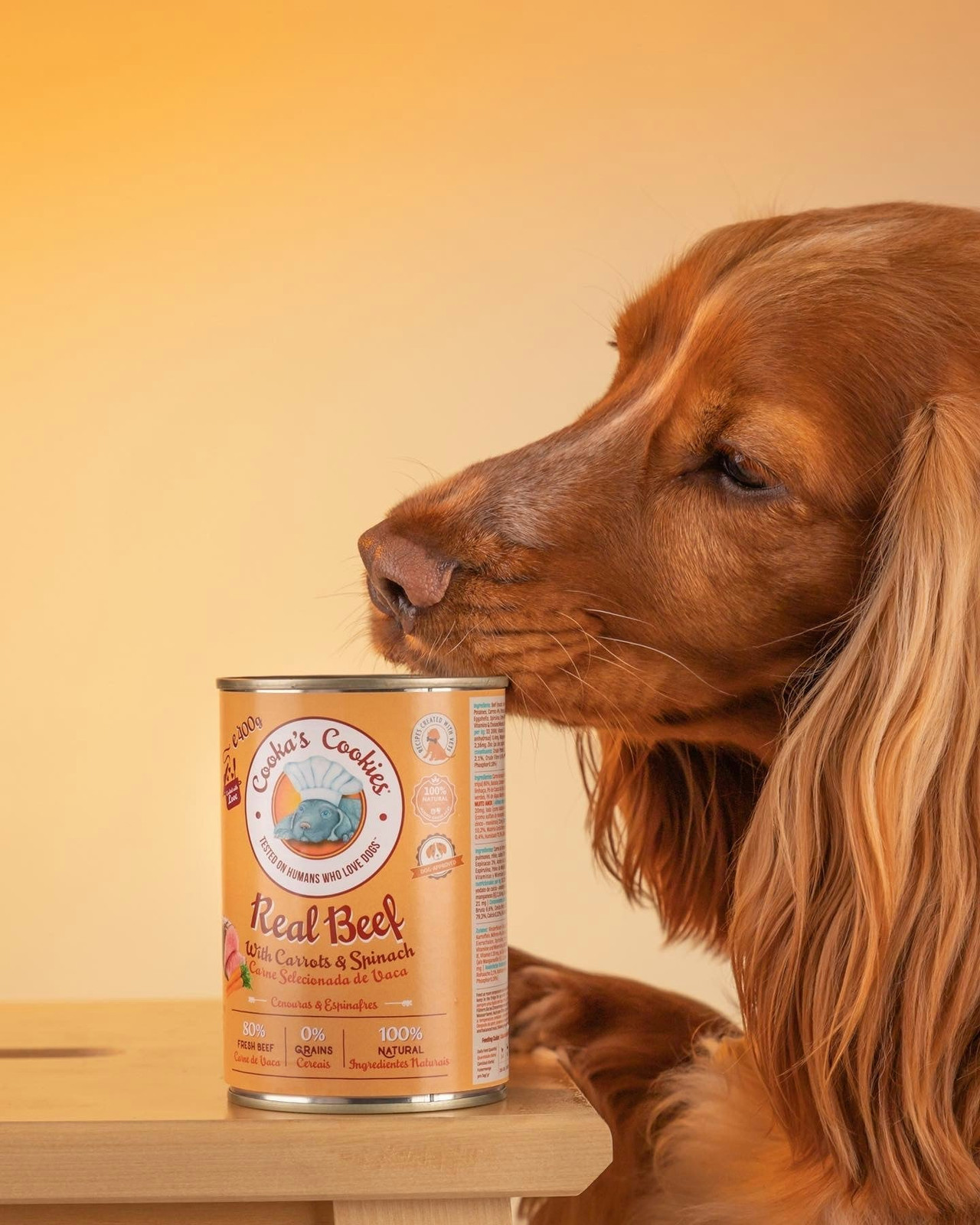 Natural wet pâtés for dogs - assorted flavours