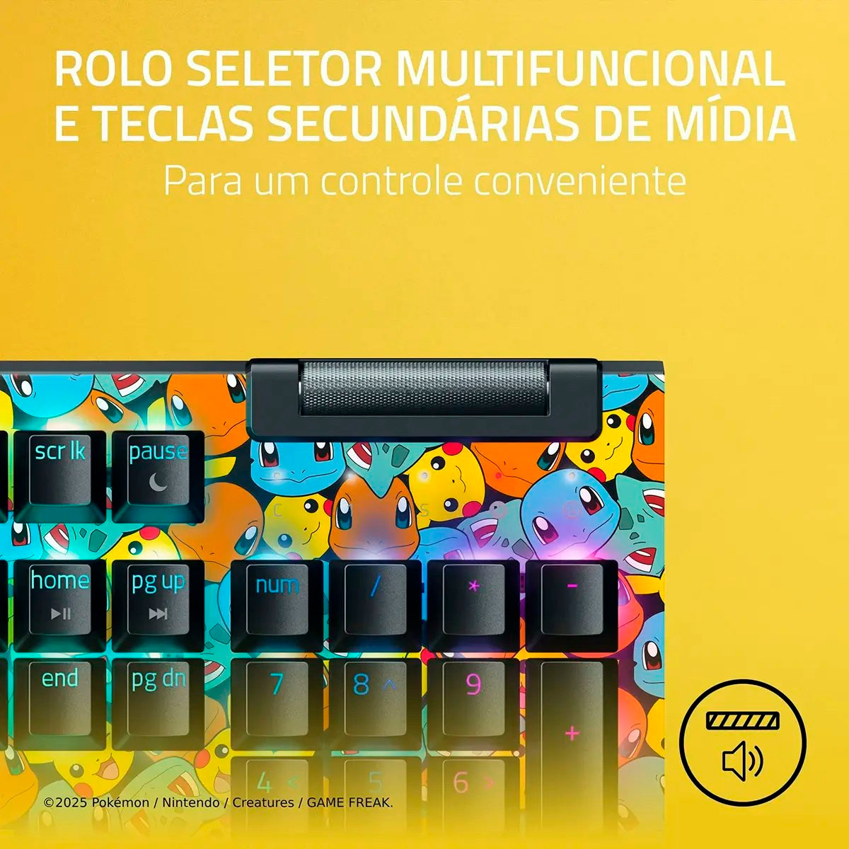 Imagen 6