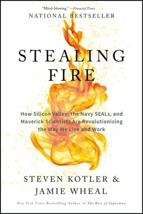 Stealing Fire by Steven Kotler and Jamie Wheal (English)