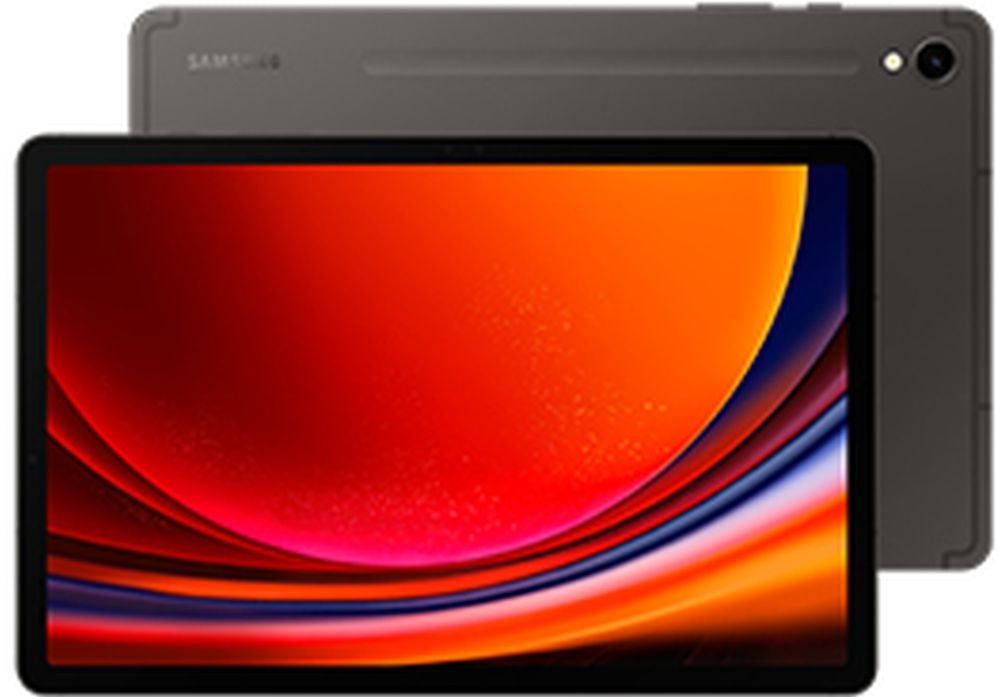 Galaxy Tab S9 11" Wi‑Fi 256 GB 12 GB RAM Gris