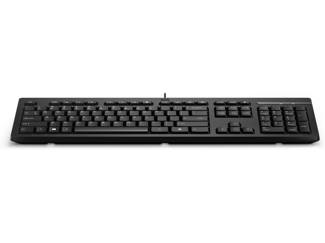 Wired keyboard 125