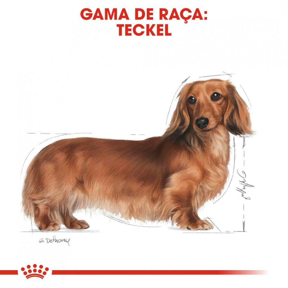 Imagen 10
