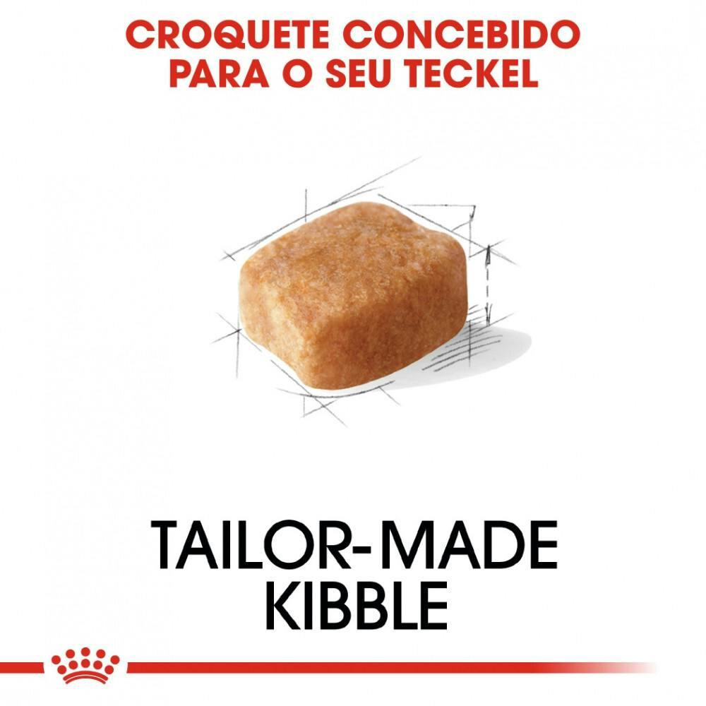 Imagen 11