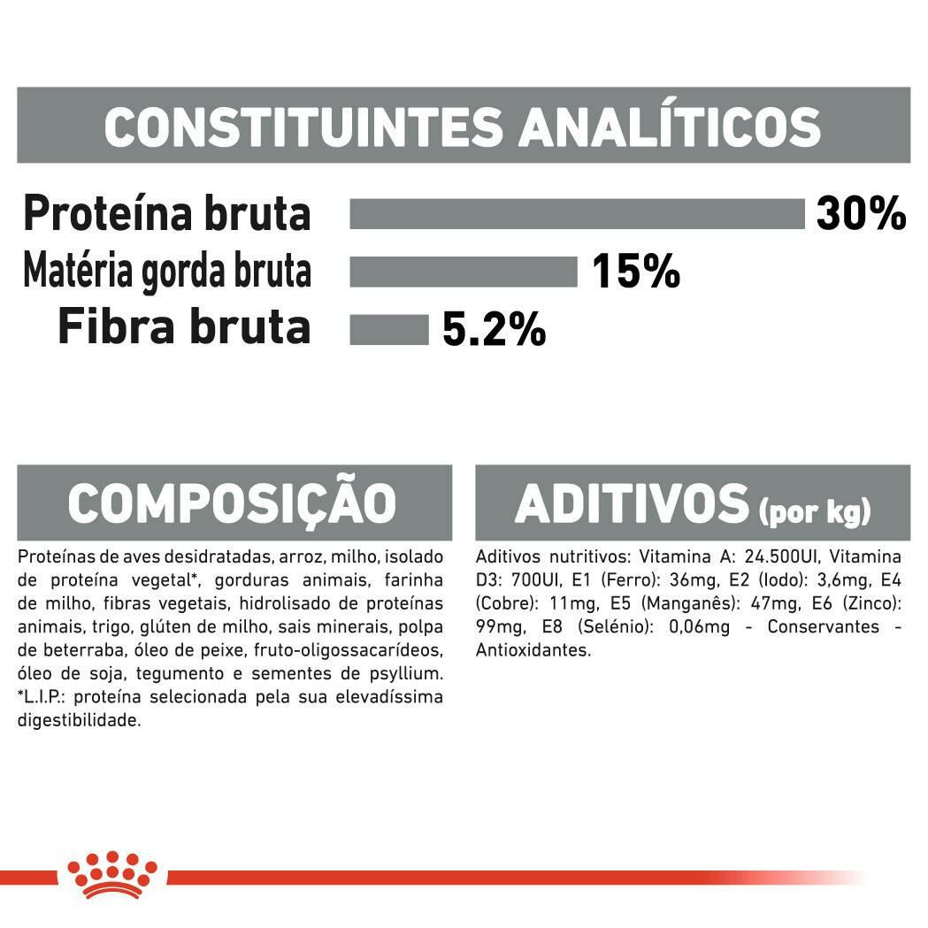 Imagen 6