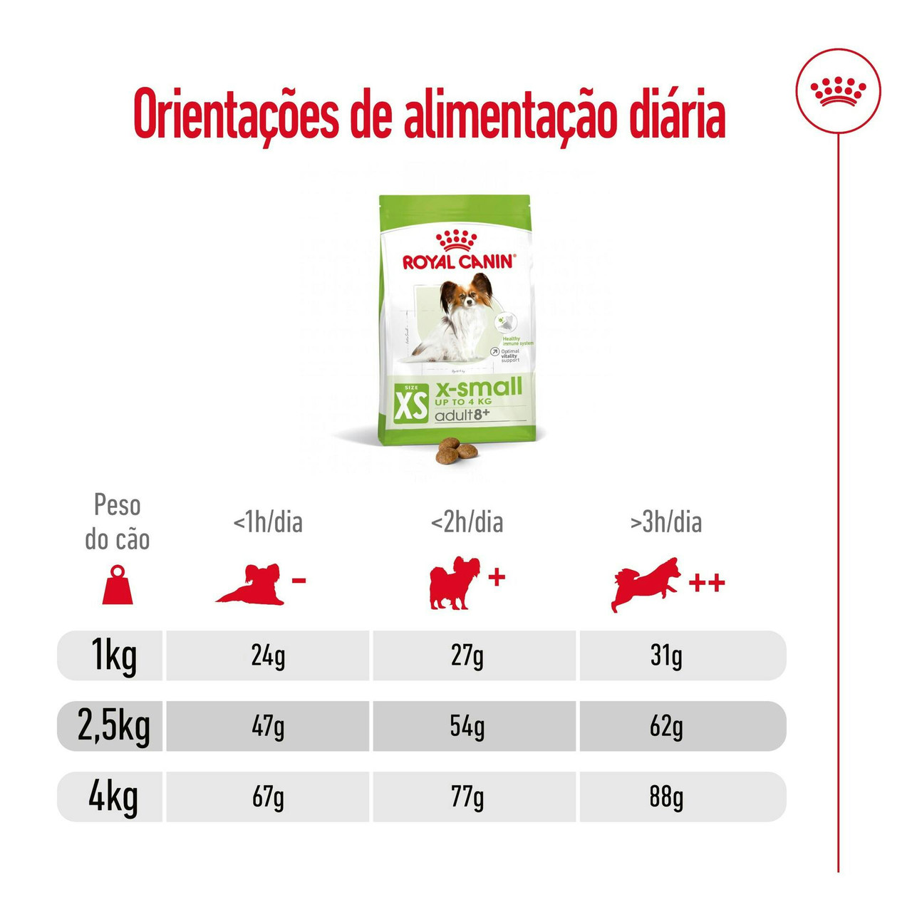 Imagen 8