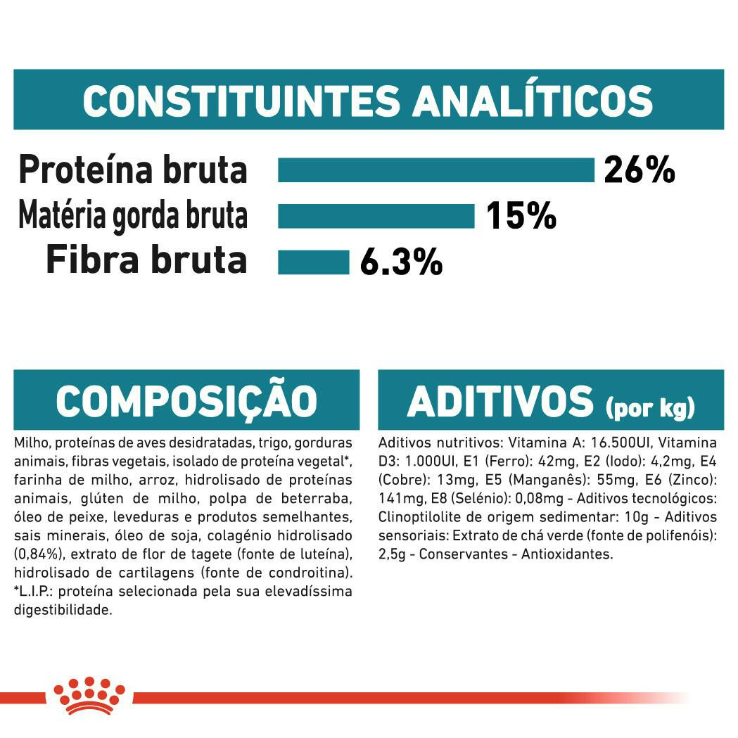 Imagen 5