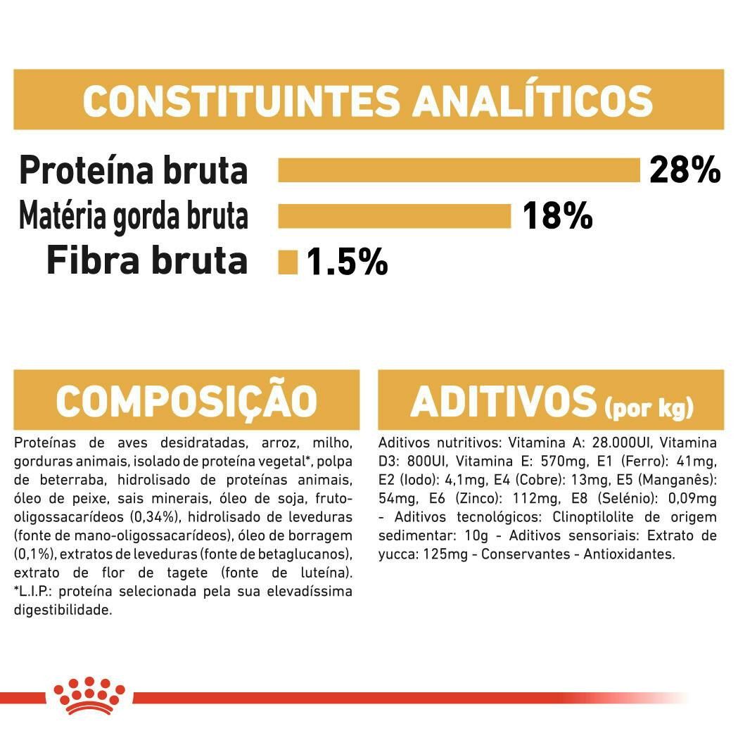 Imagen 7