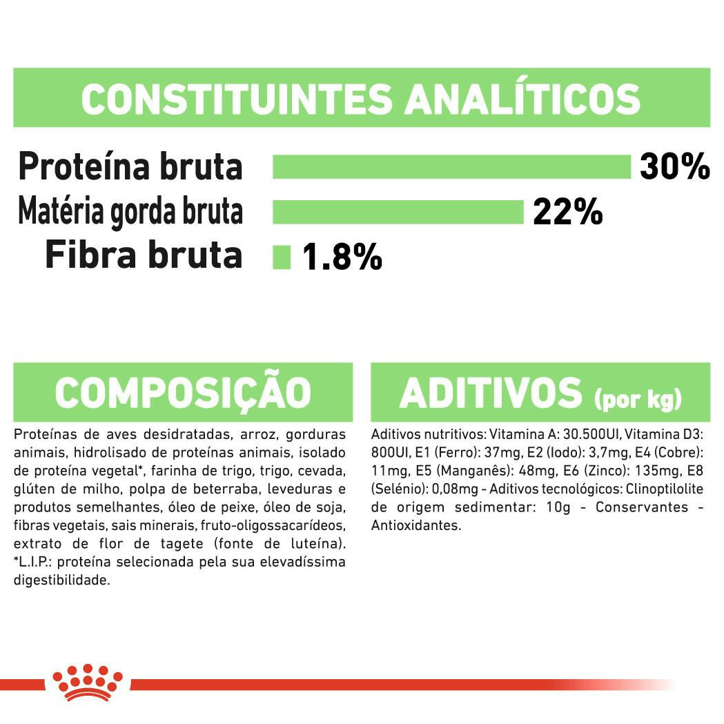 Imagen 6