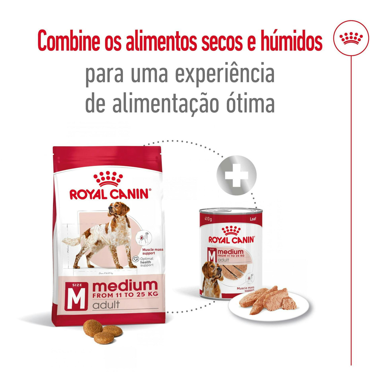 Imagen 8