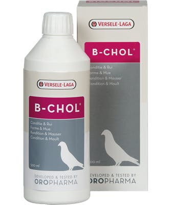 B-Chol Liver Tonic for Birds 500 ml